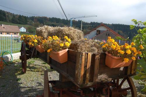 Agroturismo La Belle Hetraie