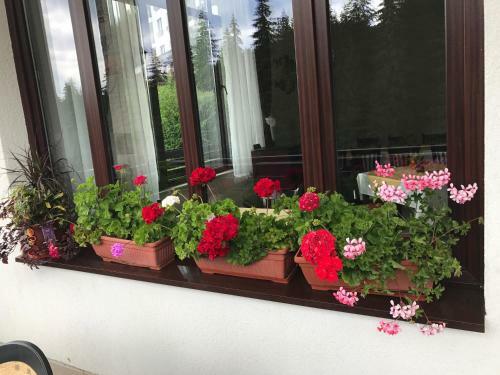 Hotel Ela - Utb P. Hilendarski