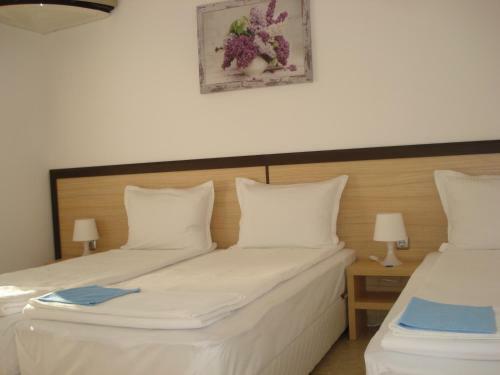 Hostal The Sunny Home Guesthouse