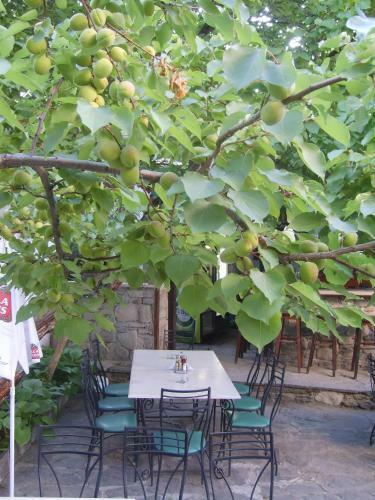 Hostal Guest House Konsulato