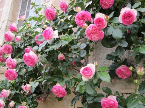 Bed & Breakfast Maison D'h�tes "les Egrignes"