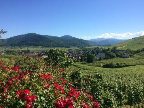 Camping Le M�di�val