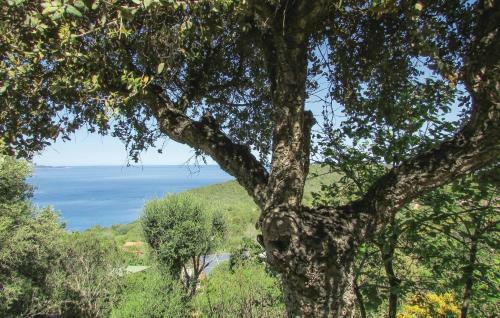 Holiday Home Porto Vecchio With Fireplace I