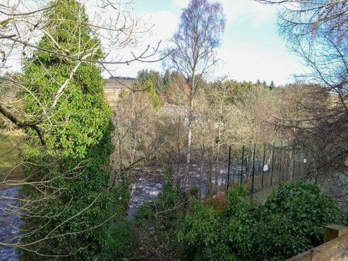 Beechbank