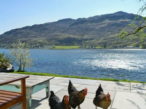 Loch Shore Cottage