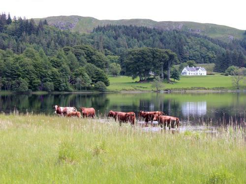 South Lodge