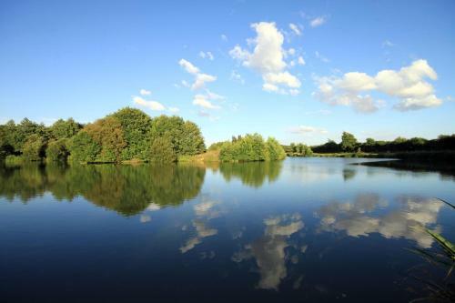 Brook Meadow