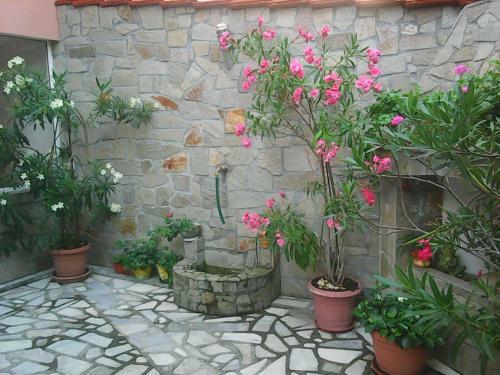 Hostal Stedi Guest Rooms