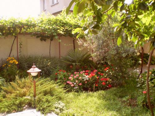 Hostal Guest House Yavorov