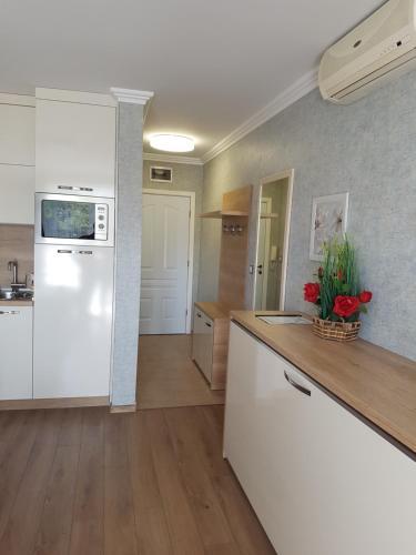 Apartamento Riviera Studio