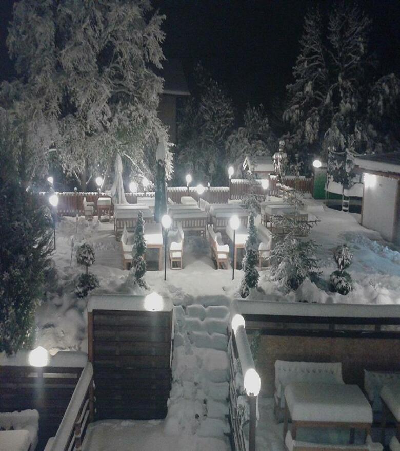 Vitosha Tulip Hotel