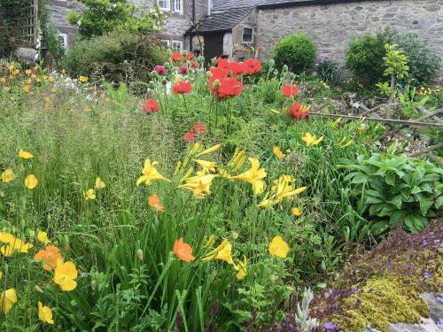 Wild Flower Cottage