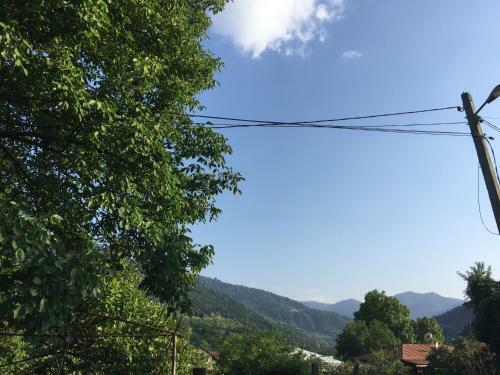 Hostal Villa Borjomi