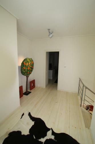 Villa Casabianca Karystos Aetos