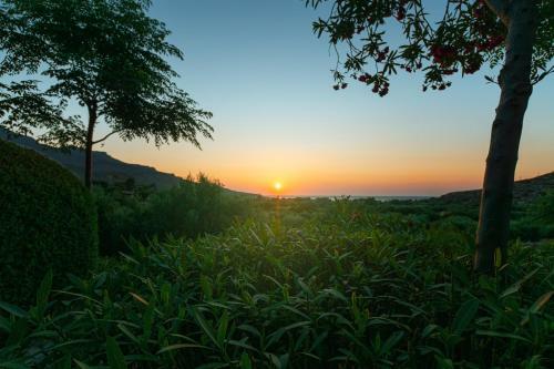 Hostal Yiannis Retreat