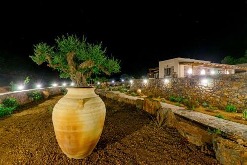 Hostal Yiannis Retreat