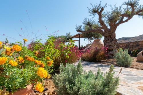 Hostal Yiannis Retreat