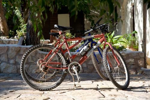 Hostal Yiannis Retreat