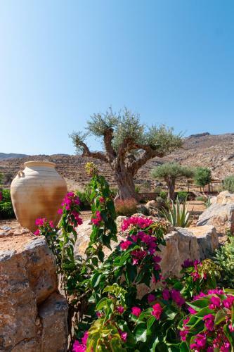 Hostal Yiannis Retreat
