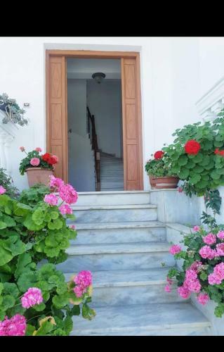 Apartamento Anesis