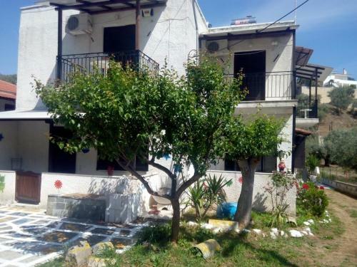 Apartamento Theoxenia