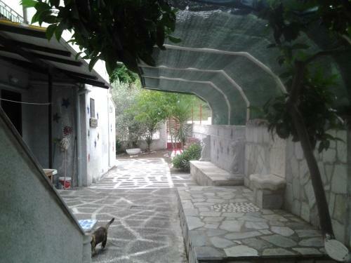 Apartamento Theoxenia