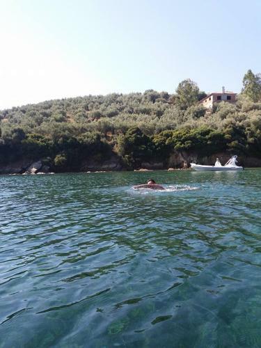 Apartamento Theoxenia
