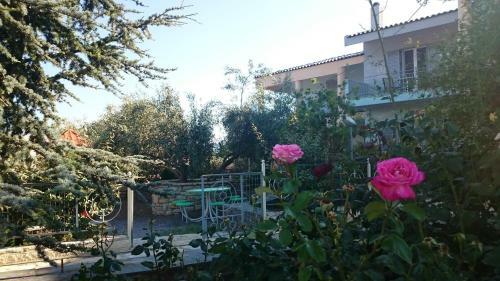 Antonia's Apartments