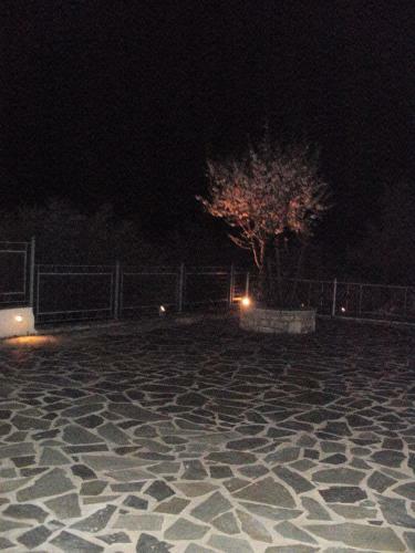 Antonia's Apartments