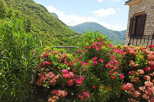 Hostal Foris House