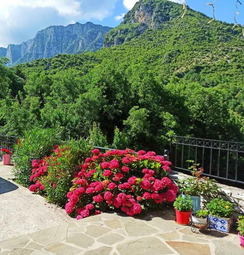 Hostal Foris House