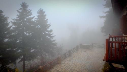 Pigi Tarlampa Hotel