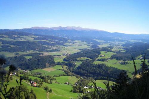 Ferienhaus Maxi