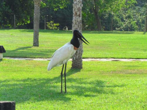 Pantanal Park Hotel