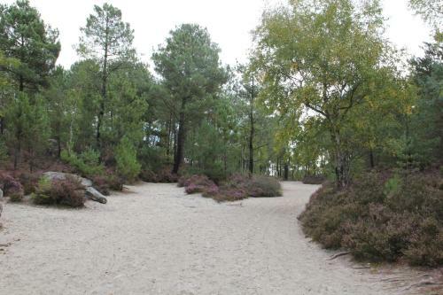 Camping Ile de Boulancourt