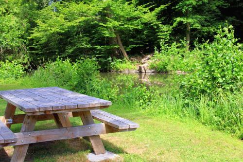 Camping Ile de Boulancourt