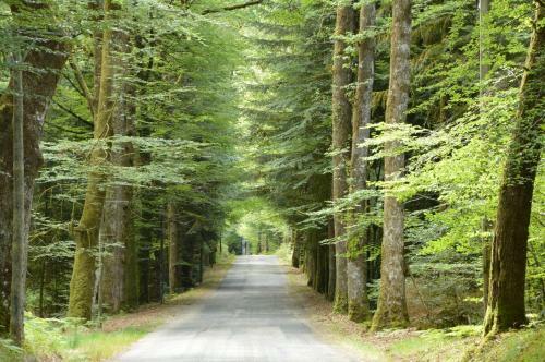 Les �tangs De Taysse