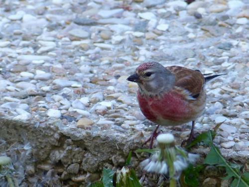 Bed & Breakfast Val de La Nef