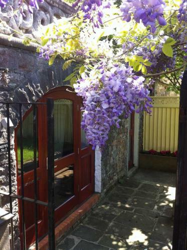 Bed & Breakfast Ferndale Mews