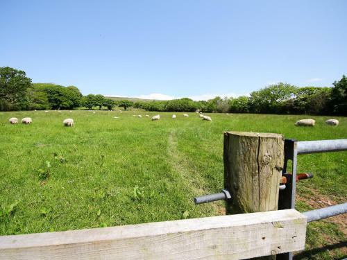 Windsmoor Cottage On Gower