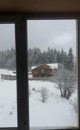 Apartment 51 Mziuri Veli