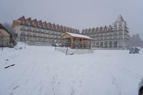 Apartment 51 Mziuri Veli