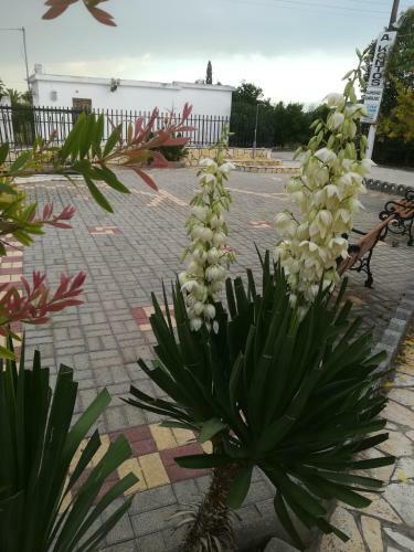 Apartamento Bungalows A Kontos