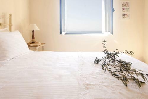 Apartamento Poliana Estate