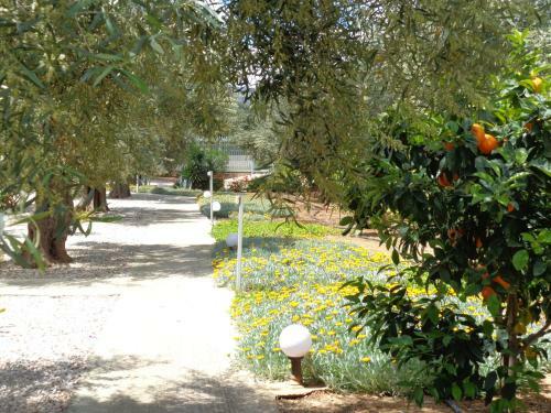 Kalimera Apartments