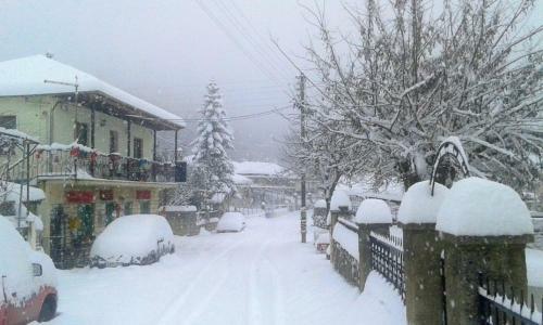 Hotel Marilou's Chani