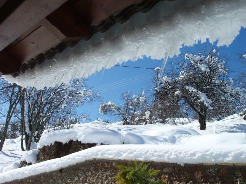 Hostal Filiantra Guesthouse