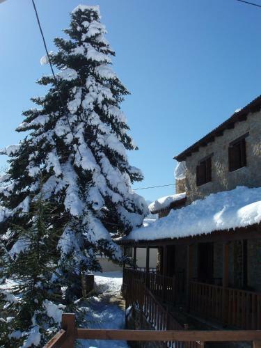 Hostal Filiantra Guesthouse