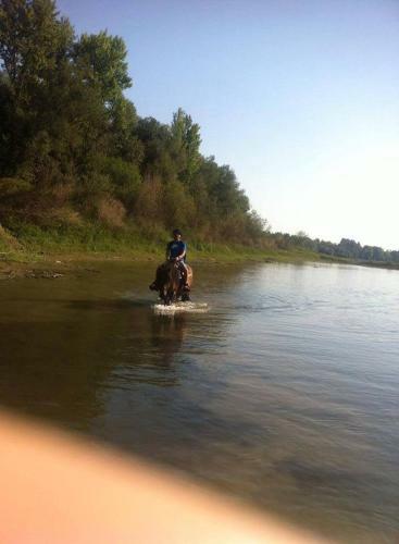 Agroturismo Ekoetno Selo Strug