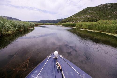 Robinson Neretva